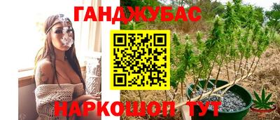 прущие грибы Конаково