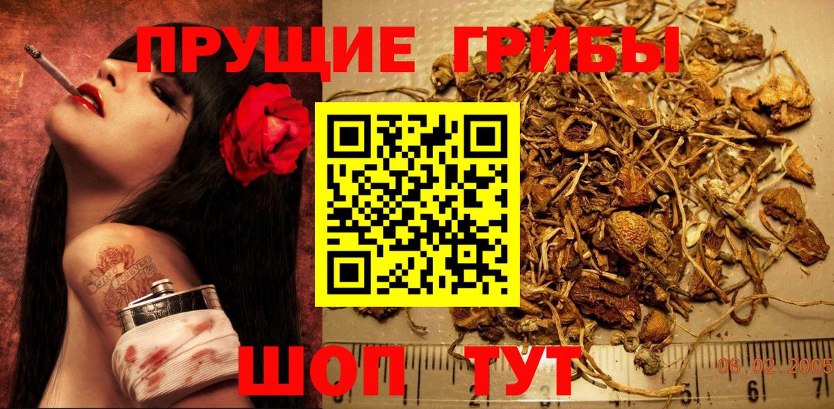 Старая Купавна  Галлюциногенные грибы мицелий  Вход с VPN 